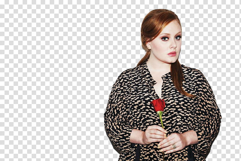 Adele transparent background PNG clipart