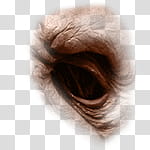 Halloween app Zombie Camera, thumb_eye_ transparent background PNG clipart Halloween app Zombie Camera, thumb_eye_ transparent background PNG clipart