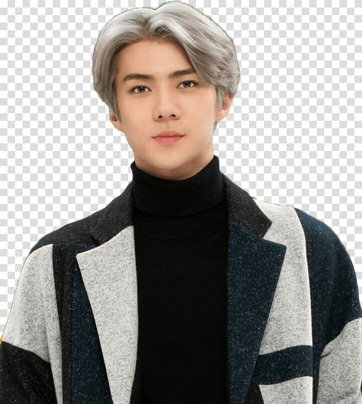 Sehun EXO LOVE PLANET transparent background PNG clipart