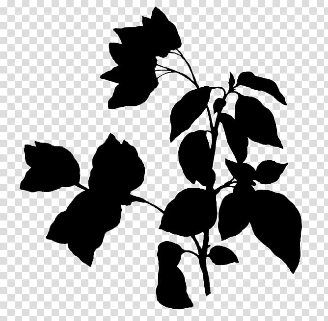 Tree Branch Silhouette, Bougainvillea Spectabilis, Twig, Drawing, Plants, Leaf, Plant Stem, Engraving transparent background PNG clipart