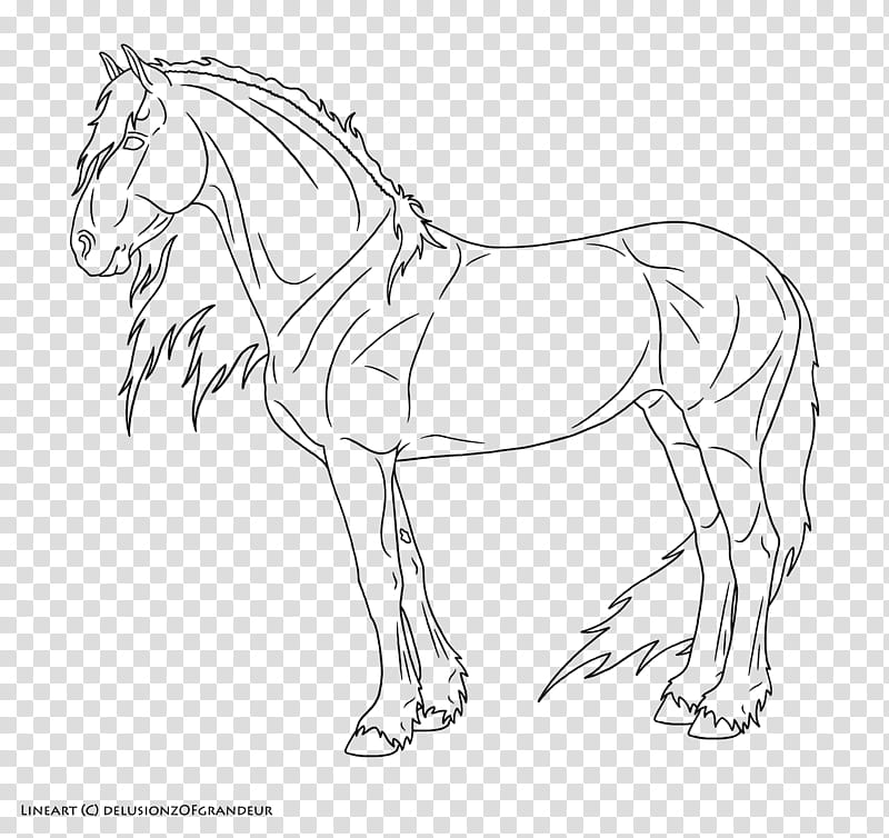 Friesian Sporthorse Lines, standing black horse illustration transparent background PNG clipart
