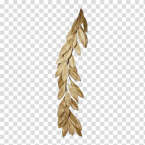 SHARE S  Watchers s, gold glitter plant illustration transparent background PNG clipart