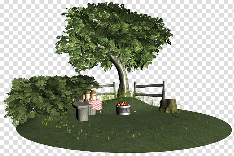 Apple Orchard , green tree and table illustration transparent background PNG clipart