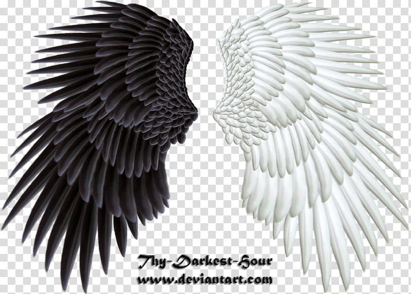 Good and Evil Wings , dark and light wings transparent background PNG clipart