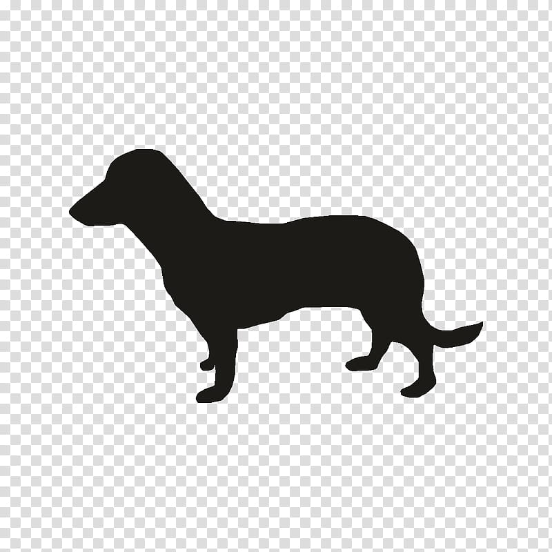 Modern, Dachshund, Puppy, Miniature Dachshund, Modern Dog, Silhouette, Drawing, Black transparent background PNG clipart