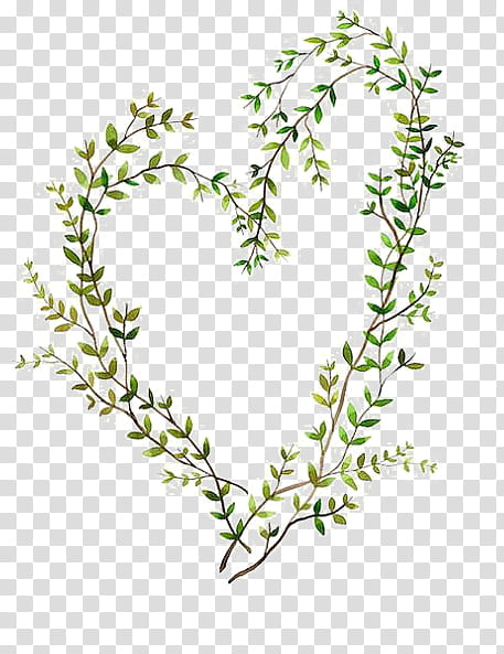 flower plant leaf branch twig, Breckland Thyme, Flowering Plant, Pedicel transparent background PNG clipart