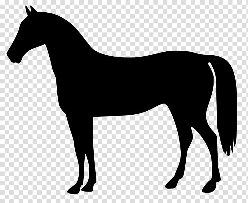 Dog Silhouette, Drawing, Document, Animal, Dog Type, Horse, Mane, Animal Figure transparent background PNG clipart