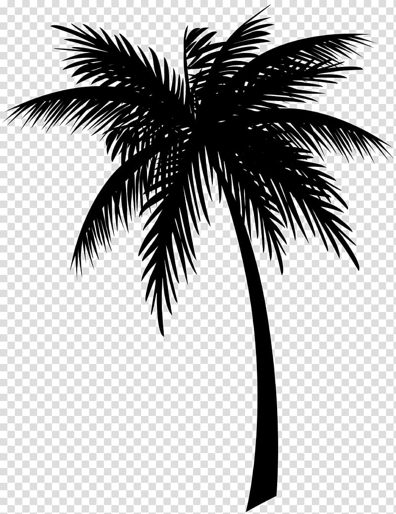 Coconut Leaf Drawing, Jamaica, Palm Trees, Jamaican Patois, Cartoon ...