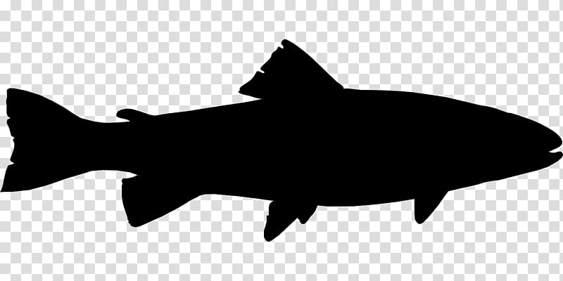 Shark Fin, Trout, Fish, Silhouette, Rainbow Trout, Brown Trout, Fishing, Cartilaginous Fish transparent background PNG clipart