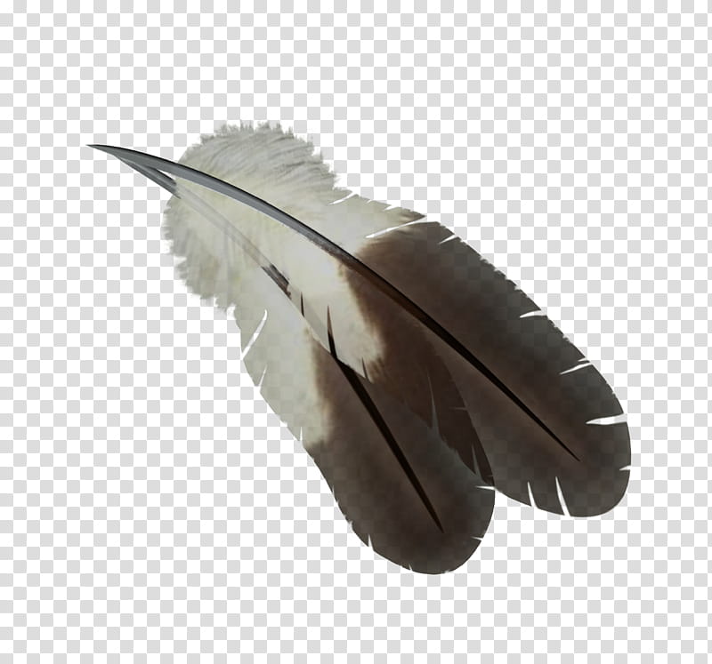 D Feathers, white and black feather transparent background PNG clipart