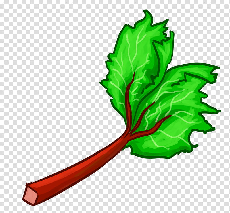 Green Leaf, Chard, Vegetable, Plants, Garden Rhubarb, Greens, Food, Beet transparent background PNG clipart