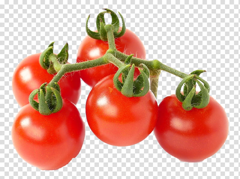 Tomato, Natural Foods, Vegetable, Solanum, Fruit, Cherry Tomatoes, Plum Tomato, Bush Tomato transparent background PNG clipart