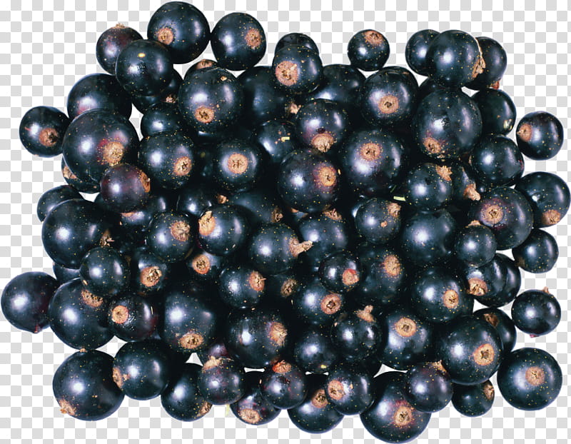 berry fruit superfood bilberry food, Plant, Currant, Huckleberry, Jamun, Jabuticaba transparent background PNG clipart