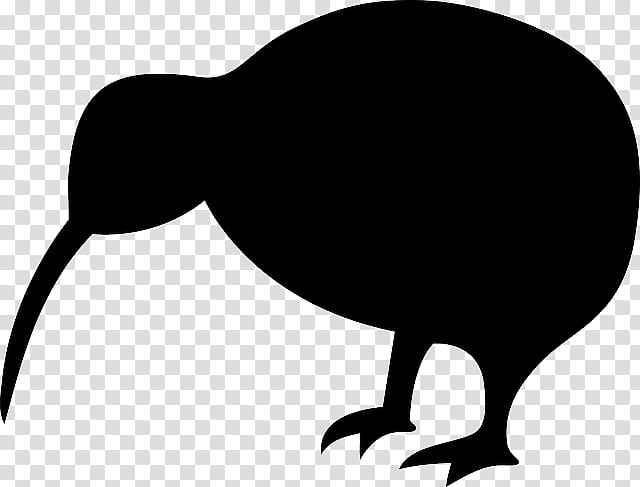 Kiwi Bird, Domestic Canary, Drawing, Parrot, Silhouette, Ibis, Beak, Flightless Bird transparent background PNG clipart