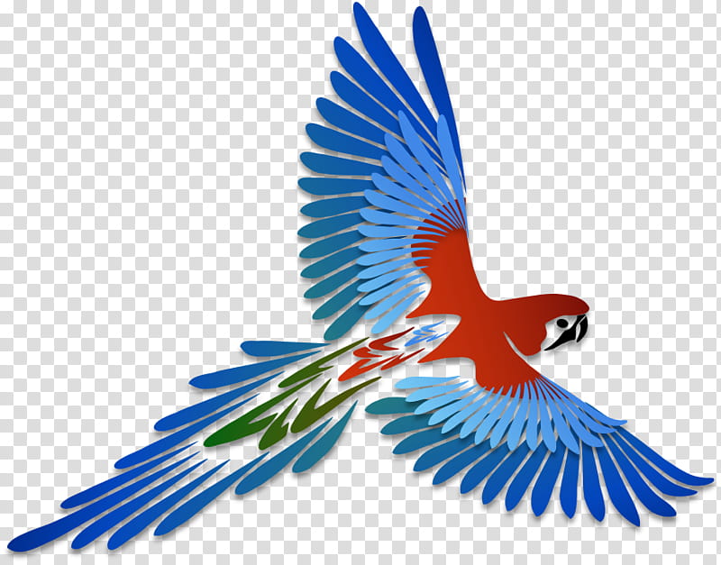 Bird Parrot, Hand Tool, Saw, Circular Saw, Blade, Miter Saw, Cutting, Woodworking transparent background PNG clipart