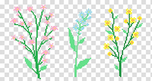 Aesthetic, three assorted flowers transparent background PNG clipart