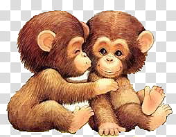 baby monkey kissing another smiling baby monkey illustration transparent background PNG clipart