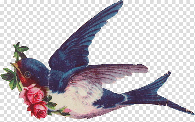 Vintage Birds, blue and grayu bird D illustration transparent background PNG clipart