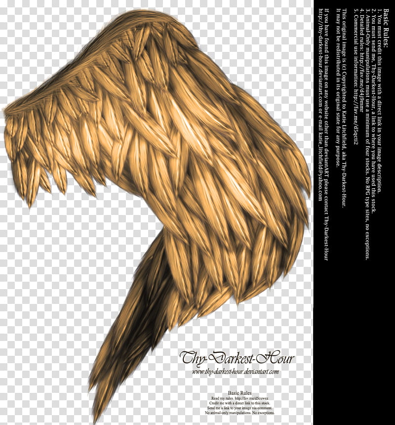 Wings of Fancy Golden, brown wing illustration transparent background PNG clipart