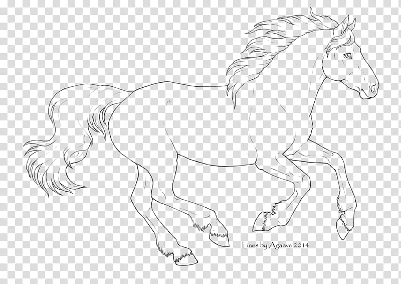 Free Horse Lineart , horse sketch transparent background PNG clipart