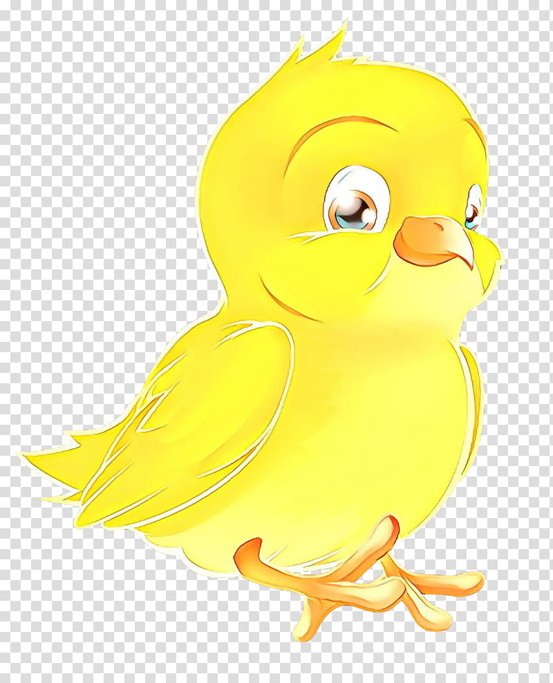 Bird Parrot, Duck, Swans, Goose, Beak, Water Bird, Bird Of Prey, Ducks transparent background PNG clipart