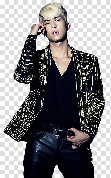 WooYoung transparent background PNG clipart