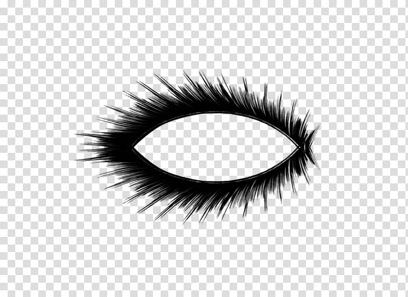 Eyelash , black eye shadow transparent background PNG clipart