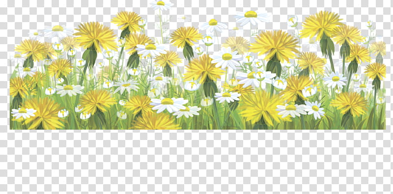 Easter, Flower, Yellow, Portrait, Flower Bouquet, Wildflower, Grass, Meadow transparent background PNG clipart