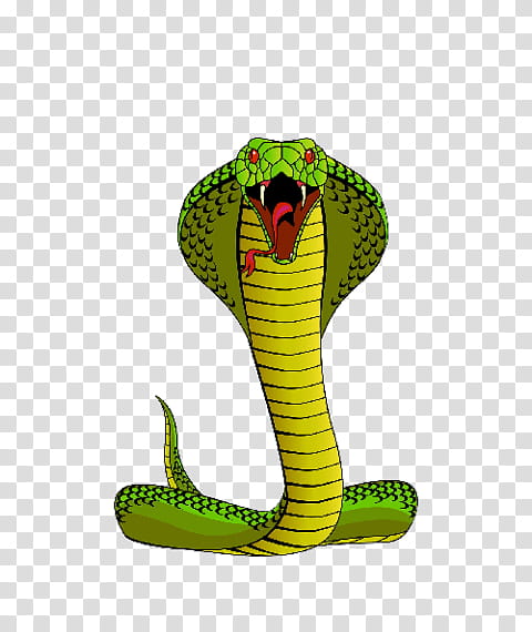 Background Green, Snakes, Cobra, Reptile, King Cobra, Green Snakes, Rattlesnake, Cape Cobra transparent background PNG clipart