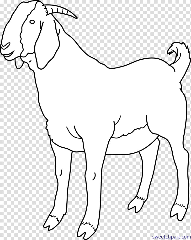 Cartoon Sheep, Boer Goat, Black Bengal Goat, Russian White Goat, Black And White
, Drawing, Goat Farming, Line Art transparent background PNG clipart