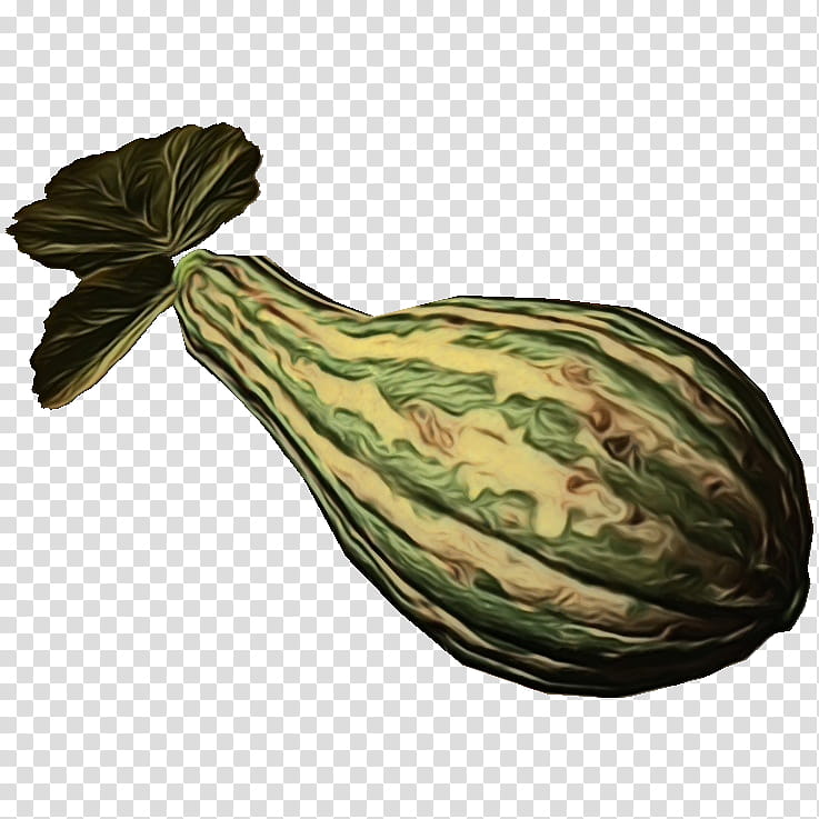 vegetable plant gourd cucurbita food, Watercolor, Paint, Wet Ink, Leaf Vegetable transparent background PNG clipart