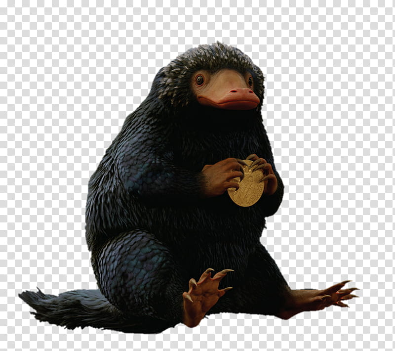 Fantastic Beasts  Niffler, black animal illustration transparent background PNG clipart