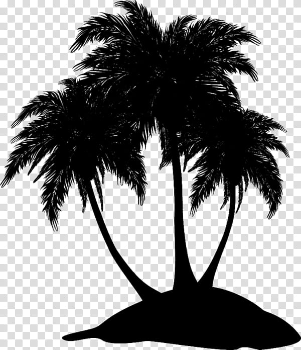 Palm Tree Silhouette, Asian Palmyra Palm, Black White M, Date Palm, Leaf, Borassus, Arecales, Woody Plant transparent background PNG clipart