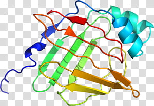 Line, Point, Area transparent background PNG clipart thumbnail