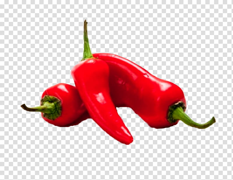 chili pepper pimiento tabasco pepper bell peppers and chili peppers malagueta pepper, Peperoncini, Serrano Pepper, Vegetable, Plant transparent background PNG clipart