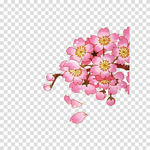 Shoujo, pink-petaled flowers art transparent background PNG clipart