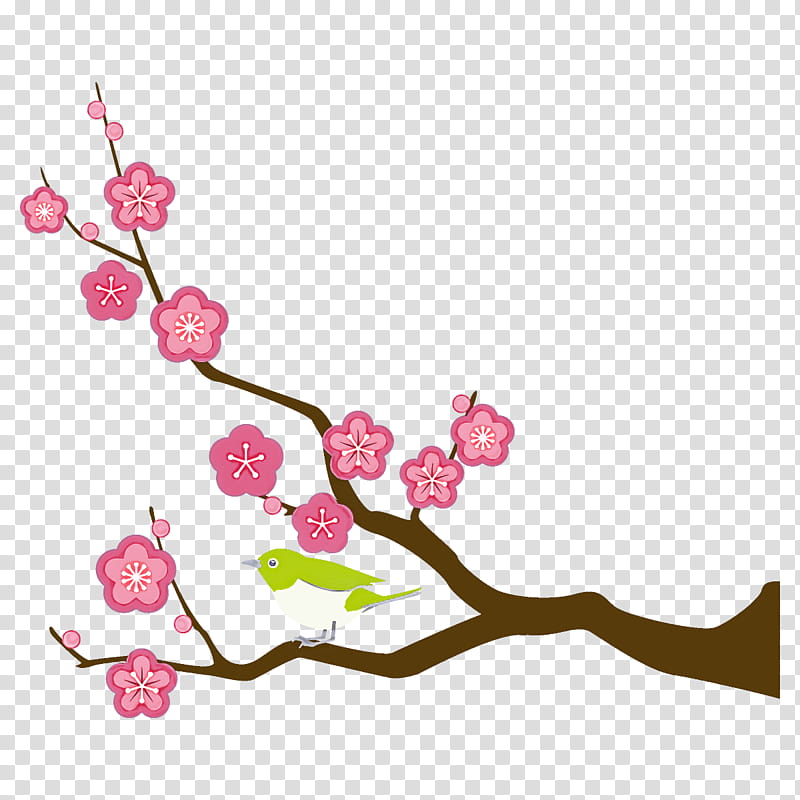 plum branch plum winter flower, Pink, Blossom, Cherry Blossom, Plant, Spring
, Twig, Pedicel transparent background PNG clipart