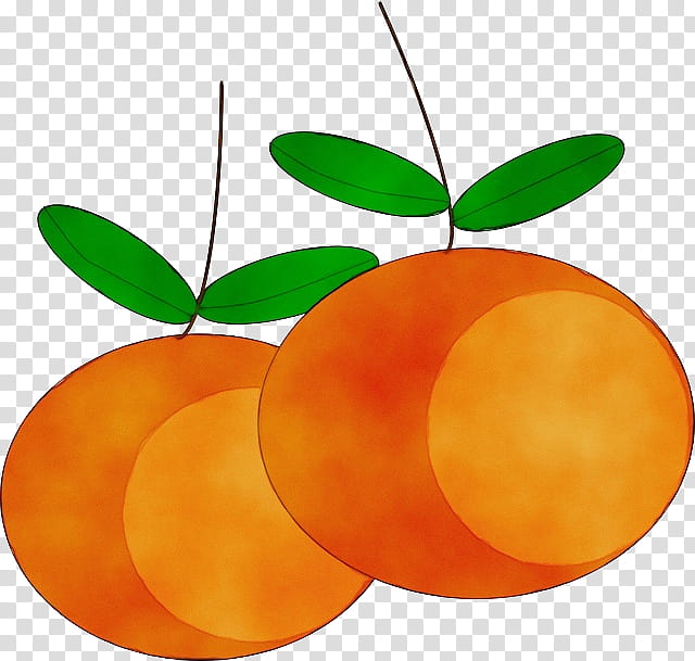 Watercolor Leaf, Paint, Wet Ink, Mandarin Orange, Fruit, Bahia Orange, Citrus, Plant transparent background PNG clipart