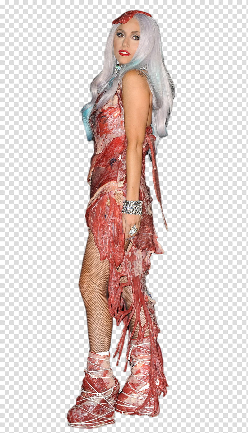 Lady Gaga Vestido de Carne transparent background PNG clipart