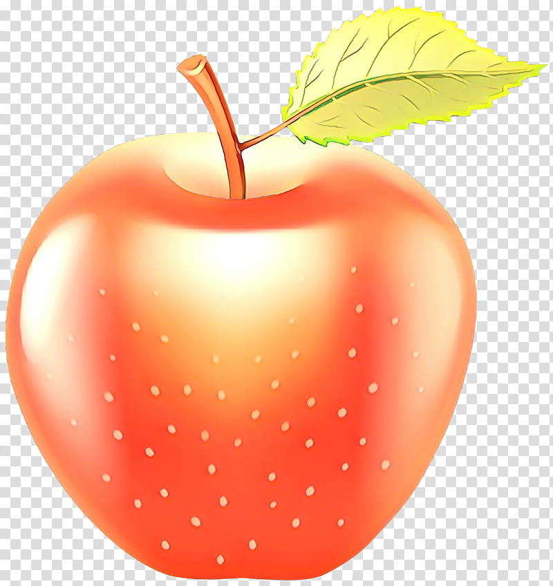 fruit natural foods leaf apple plant, Cartoon, Tree, Mcintosh transparent background PNG clipart