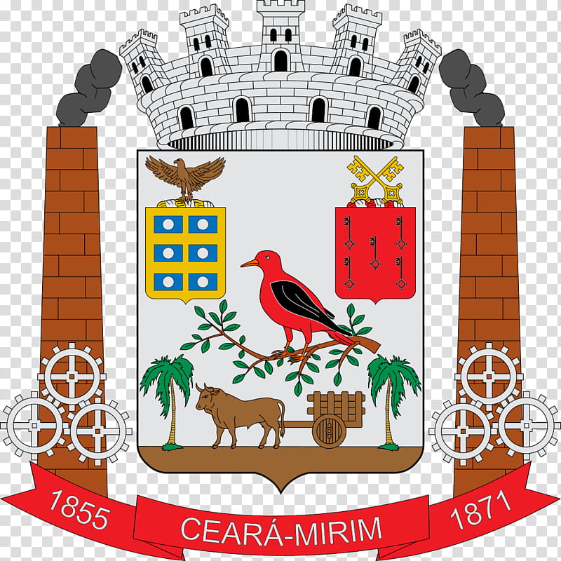 Cartoon Tree, Logo, Flag Of Ethiopia, Coat Of Arms, Emblem Of Qatar, Heraldry, Rio Grande Do Norte, Area transparent background PNG clipart