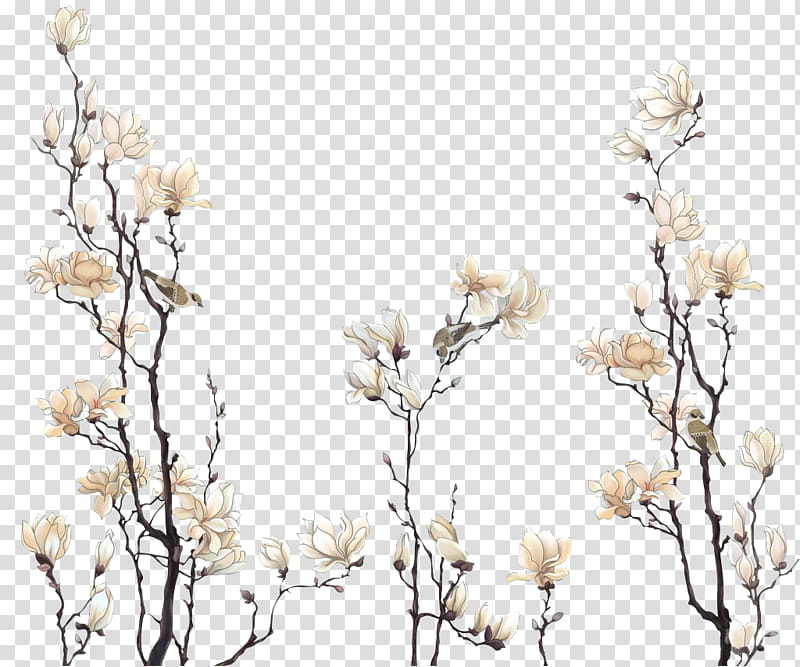 flores vintage, white magnolia flowers in bloom transparent background PNG clipart