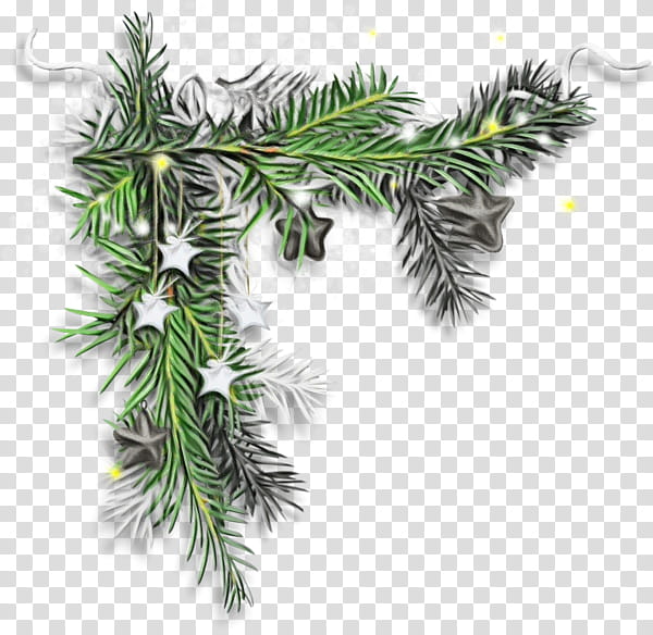 Christmas Black And White, Fir, Asian Palmyra Palm, Spruce, Christmas Ornament, Pine, Christmas Day, Borassus transparent background PNG clipart