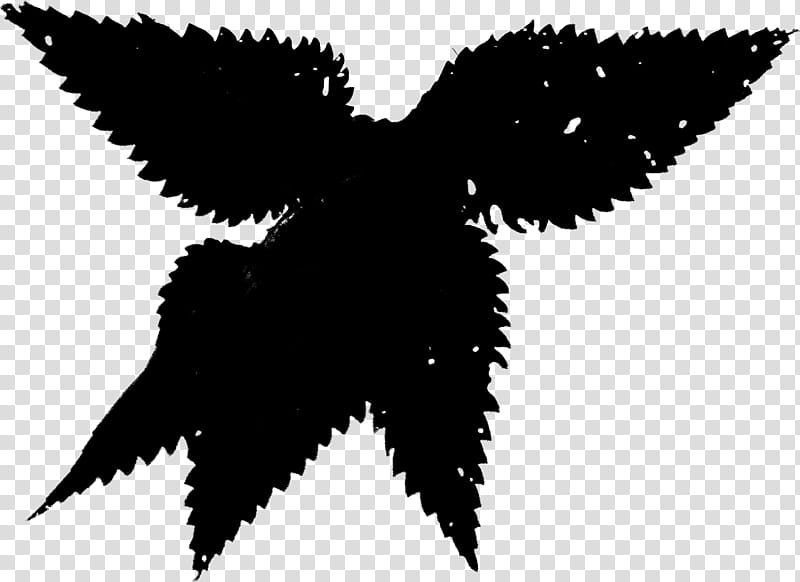 Leaf Silhouette, Beak, Plant, Wing, Blackandwhite transparent background PNG clipart