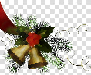 Christmas decoration, Oregon Pine, Christmas Ornament, Plant, Tree, Christmas Tree, Colorado Spruce, Branch transparent background PNG clipart thumbnail