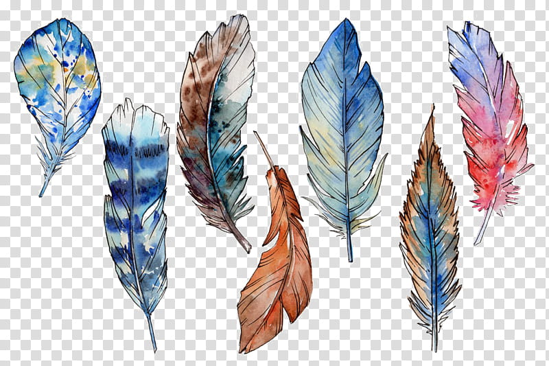 Leaf Watercolor, Watercolor Painting, Feather, Drawing, Art Museum, Quill, Plant, Writing Implement transparent background PNG clipart