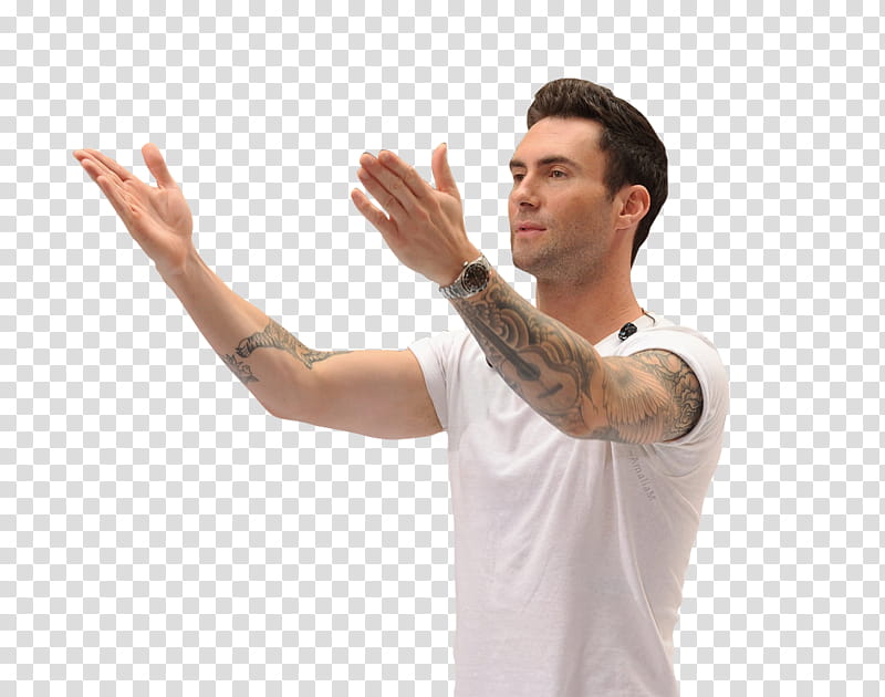 ADAM LEVINE transparent background PNG clipart