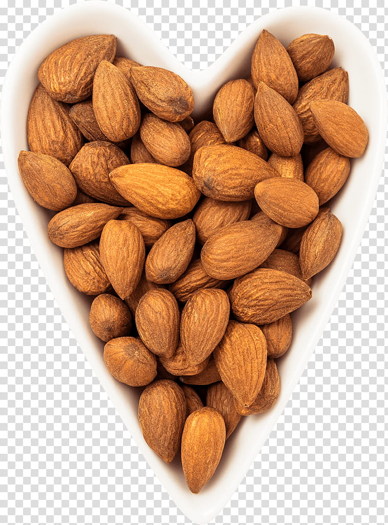 Fruit, Nut, Food, , Dried Fruit, Almond, Designer, File Formats transparent background PNG clipart