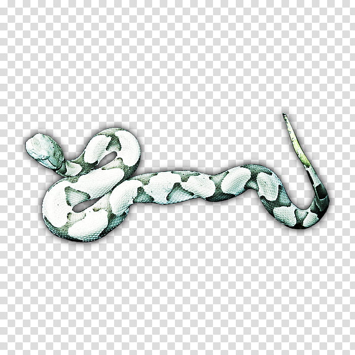 RPG Map Elements , white and green snake transparent background PNG clipart