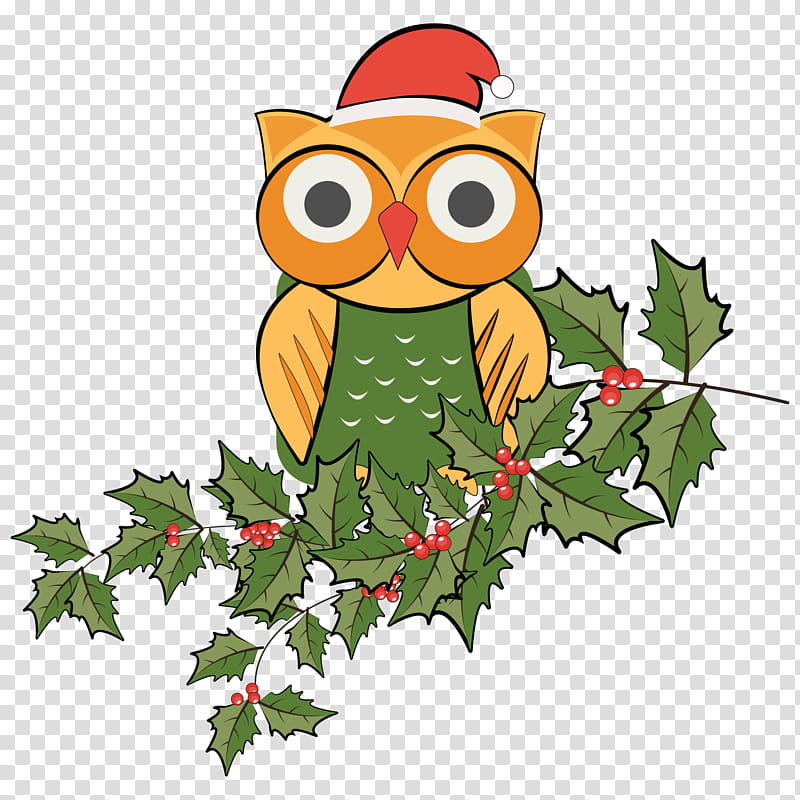 Christmas Tree Branch, Owl, Christmas Day, Christmas Ornament, Cartoon, Beak, Leaf, Bird transparent background PNG clipart